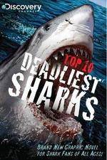 Watch National Geographic Worlds Deadliest Sharks Wolowtube