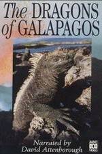 Watch The Dragons of Galapagos Wolowtube
