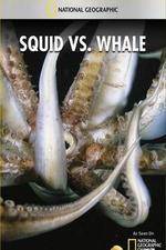 Watch National Geographic Wild - Squid Vs Whale Wolowtube