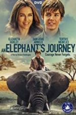 Watch An Elephant\'s Journey Wolowtube