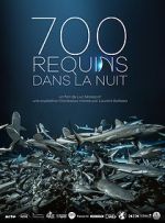 Watch 700 requins dans la nuit Wolowtube