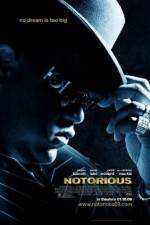 Watch Notorious (2009) Wolowtube