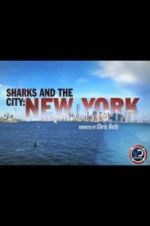 Watch Sharks and the City: New York Wolowtube