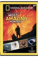 Watch National Geographic's Most Amazing Moments Wolowtube