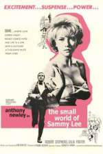 Watch The Small World of Sammy Lee Wolowtube