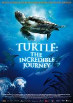 Watch Turtle: The Incredible Journey Wolowtube