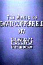 Watch The Magic of David Copperfield XIV Flying - Live the Dream Wolowtube