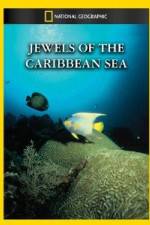 Watch National Geographic Jewels of the Caribbean Sea Wolowtube