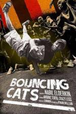 Watch Bouncing Cats Wolowtube