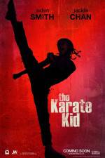 Watch The Karate Kid Wolowtube