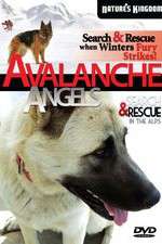 Watch Avalanche Angels Wolowtube