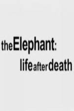 Watch The Elephant - Life After Death Wolowtube