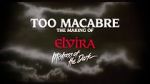 Watch Too Macabre: The Making of Elvira, Mistress of the Dark Wolowtube