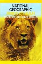 Watch National Geographic:  Walking with Lions Wolowtube