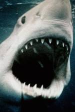 Watch Sharkmania: The Top 15 Biggest Baddest Bloodiest Bites Wolowtube