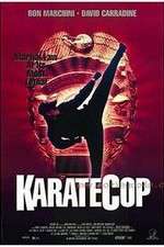 Watch Karate Cop Wolowtube