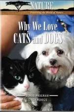 Watch Why We Love Cats And Dogs Wolowtube