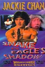 Watch Bruce Vs. Snake In Eagle's Shadow Wolowtube