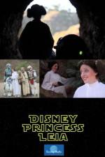 Watch Disney Princess Leia Part of Hans World Wolowtube