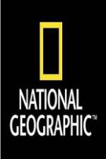 Watch National Geographic Wild War Elephants Wolowtube