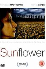 Watch Sunflower Wolowtube