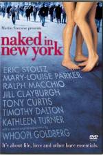 Watch Naked in New York Wolowtube