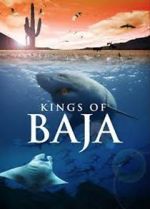 Watch Kings of Baja Wolowtube