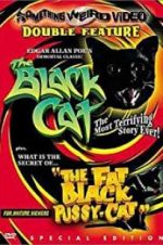 Watch The Black Cat Wolowtube