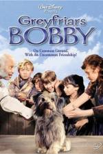 Watch Greyfriars Bobby The True Story of a Dog Wolowtube