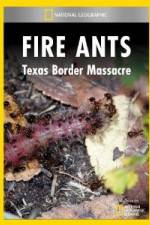 Watch National Geographic Fire Ants: Texas Border Massacre Wolowtube