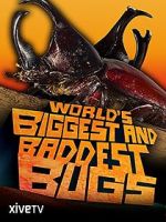 Watch World\'s Biggest and Baddest Bugs Wolowtube