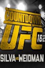 Watch Countdown To UFC 162 Wolowtube