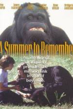 Watch A Summer to Remember Wolowtube