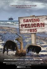 Watch Saving Pelican 895 (Short 2011) Wolowtube