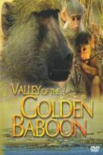 Watch National Geographic Golden Baboons Wolowtube