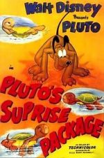 Watch Pluto\'s Surprise Package Wolowtube