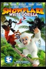 Watch Snowflake, the White Gorilla Wolowtube