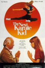 Watch The Next Karate Kid Wolowtube