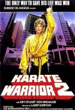 Watch Karate Warrior 2 Wolowtube