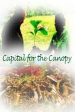 Watch Capital for the Canopy Wolowtube