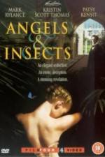 Watch Angels and Insects Wolowtube