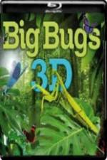 Watch Big Bugs in 3D Wolowtube