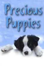 Watch Precious Puppies Wolowtube