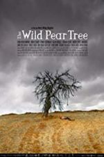 Watch The Wild Pear Tree Wolowtube
