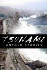 Watch Tsunami: Untold Stories Wolowtube
