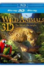 Watch Wild Animals - The Life of the Jungle 3D Wolowtube