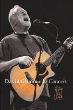 Watch David Gilmour in Concert - Live at Robert Wyatt's Meltdown Wolowtube