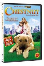 Watch Chestnut - Hero of Central Park Wolowtube