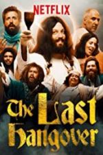 Watch The Last Hangover Wolowtube