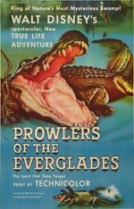 Watch Prowlers of the Everglades (Short 1953) Wolowtube